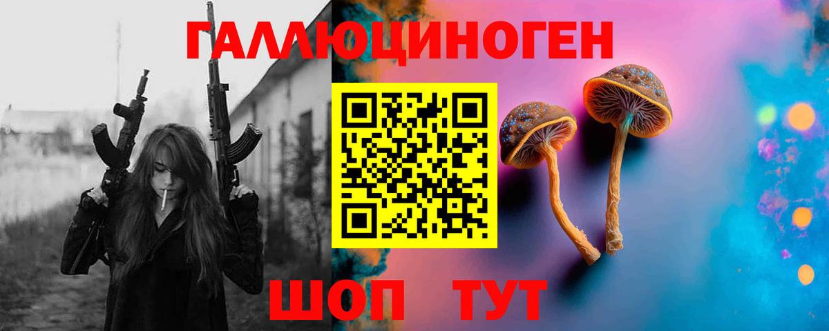 Будённовск  Псилоцибиновые грибы мухоморы  Галлюциногенные грибы Psilocybe  Вход с VPN 